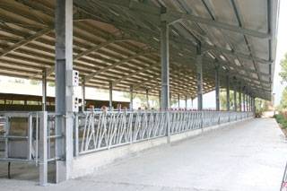 Оборудования для животноводства и КРС