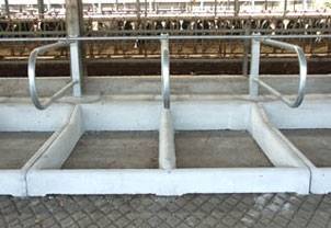 Оборудования для животноводства и КРС