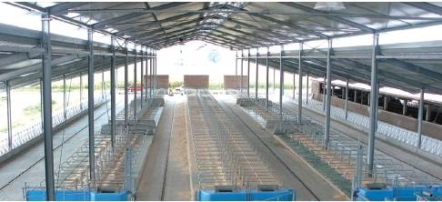 Оборудования для животноводства и КРС