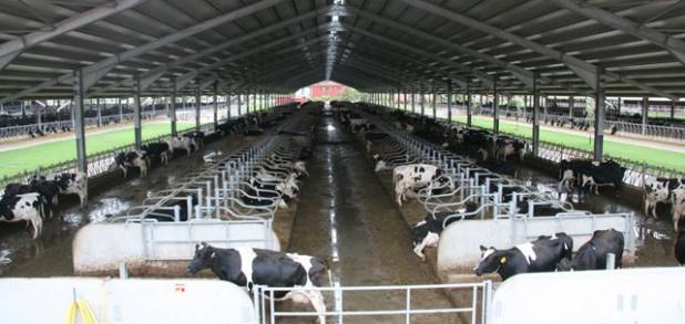 Оборудования для животноводства и КРС