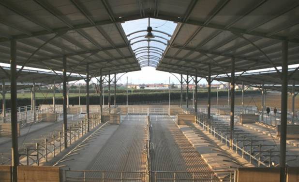 Оборудования для животноводства и КРС