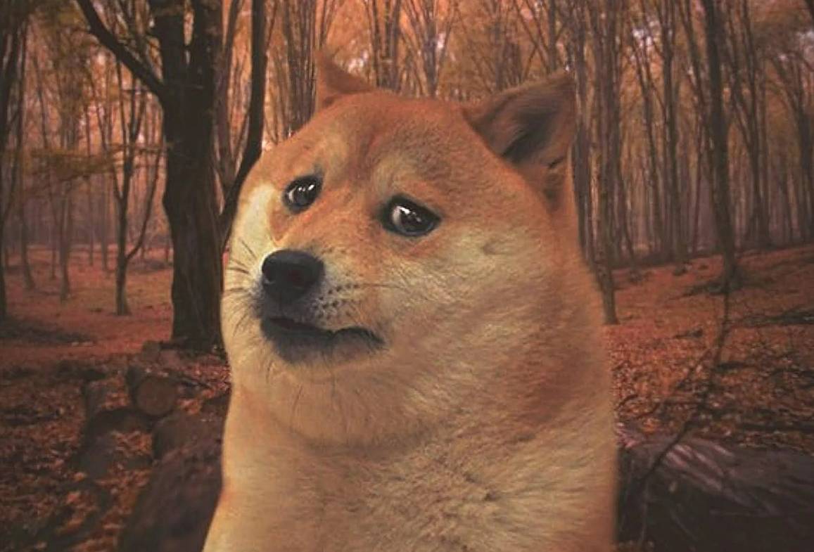 Психолог Минск